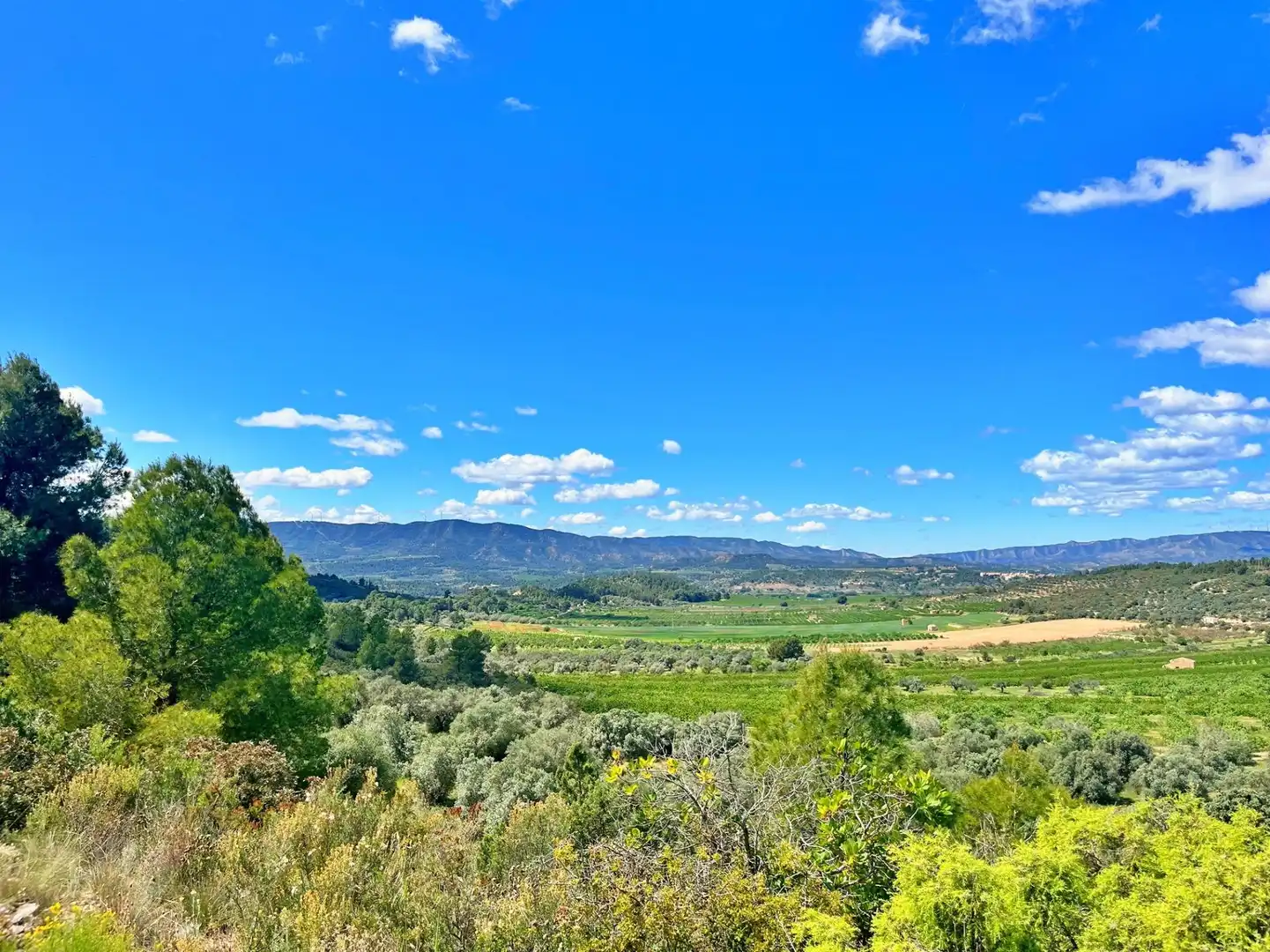 Houses for sale in Flix
