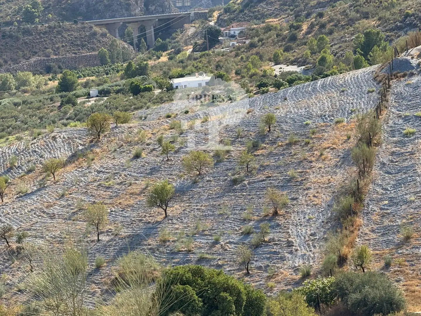 Grundstücke zum Verkauf in Vélez de Benaudalla