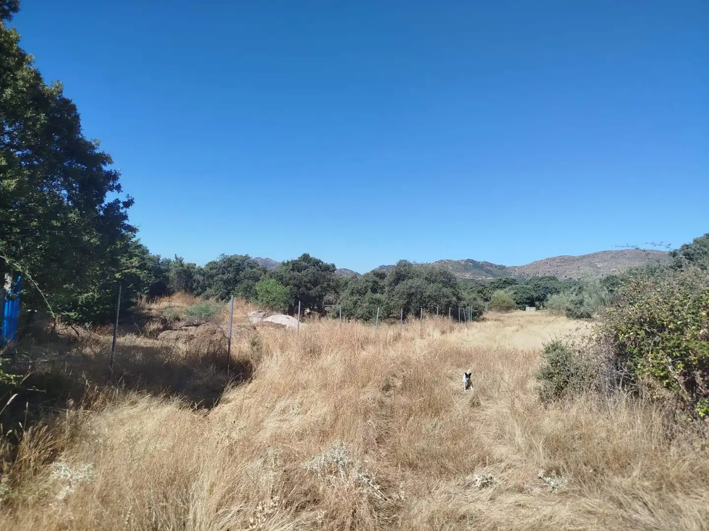 Finca rústica en venta en Fresnedilla, Ávila