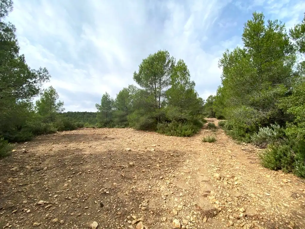 Terreno residencial en venta en 7, imagen 3
