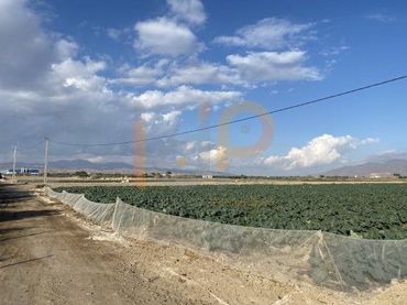 Terreno rústico en venta en Huércal-Overa