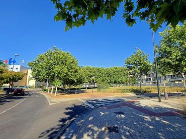 Lands and plots for sale in Camino del Pilón