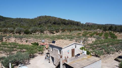 Foto 4 de Finca rústica en venda a Miravet, Tarragona