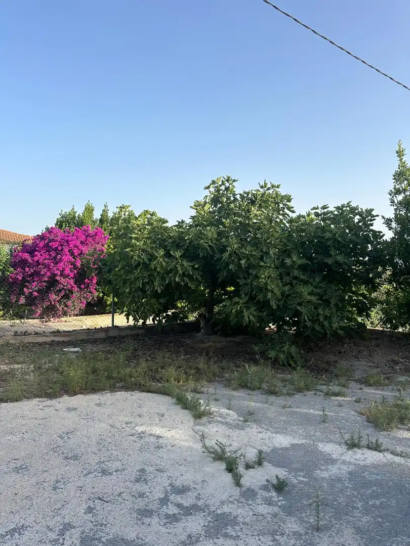 Finca rústica en venta en Somontín