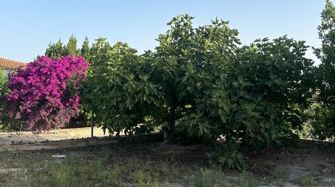 Foto 5 de Finca rústica en venta en Somontín, Almería