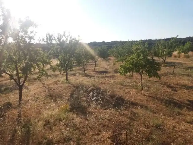 Residential land for sale in Fuente Obejuna, imagen 31