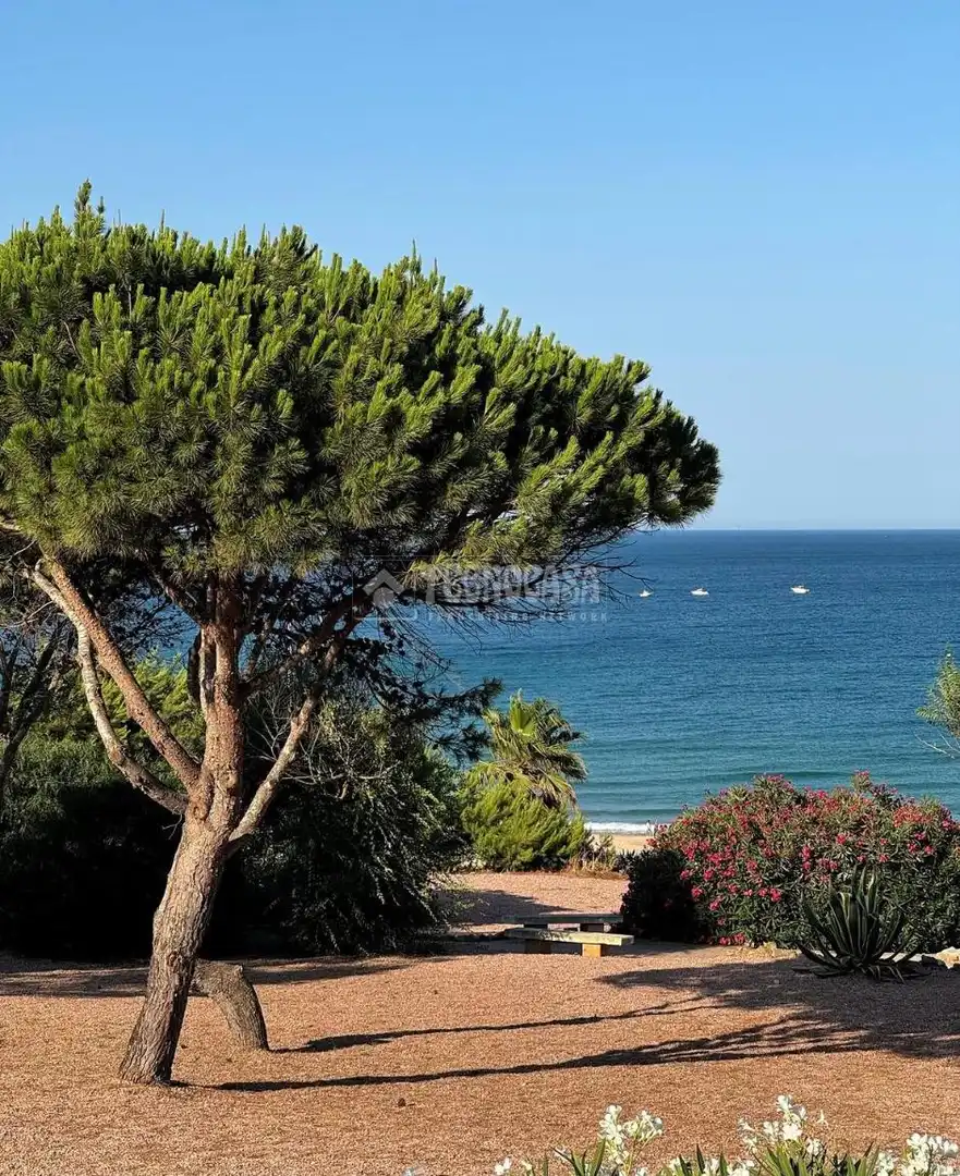 Wohnung zur Miete in Conil de la Frontera