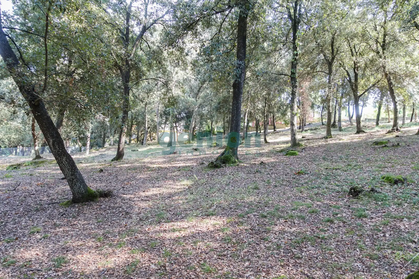 Terreno residenziale in vendita a Diseminado Afueras, imagen 7
