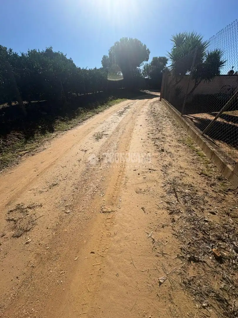 Terreni e lotti in vendita a Camino sanlucar la mayor olivares, imagen 16
