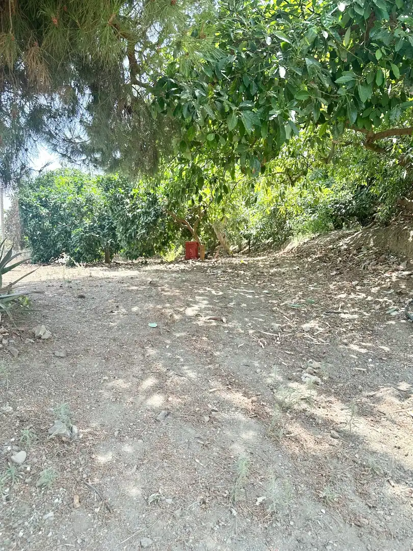 Country homes for sale in Benamocarra  with Private garden, Storage room and Swimming Pool