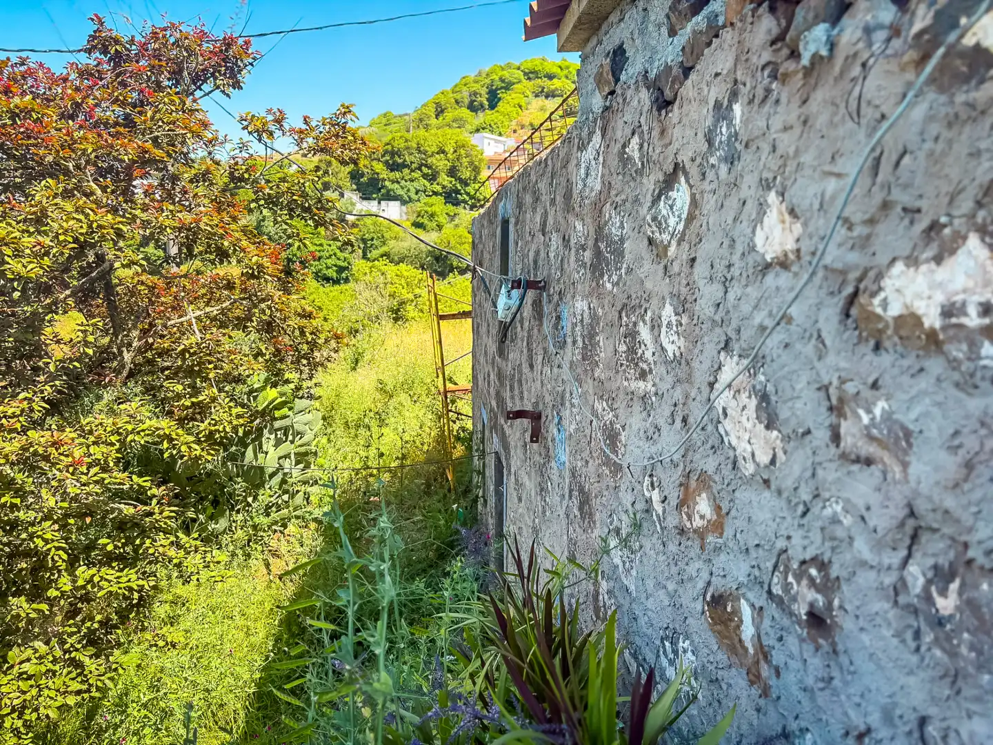 Vista exterior de Casa o chalet en venta en Valleseco
