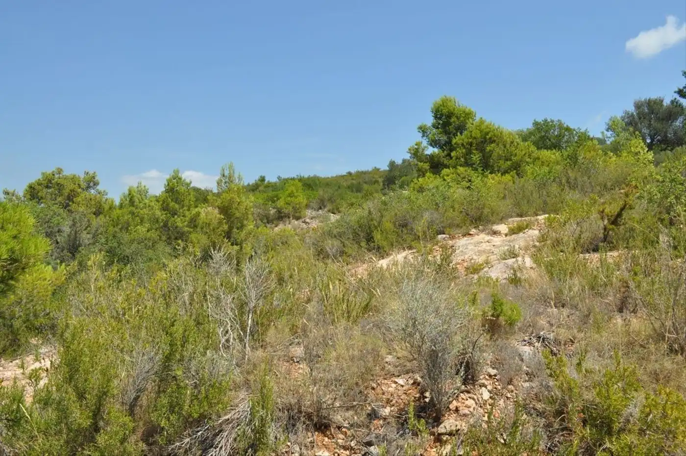 Land for sale in Camí del Barranc de la Llet, 26, Sant Llàtzer