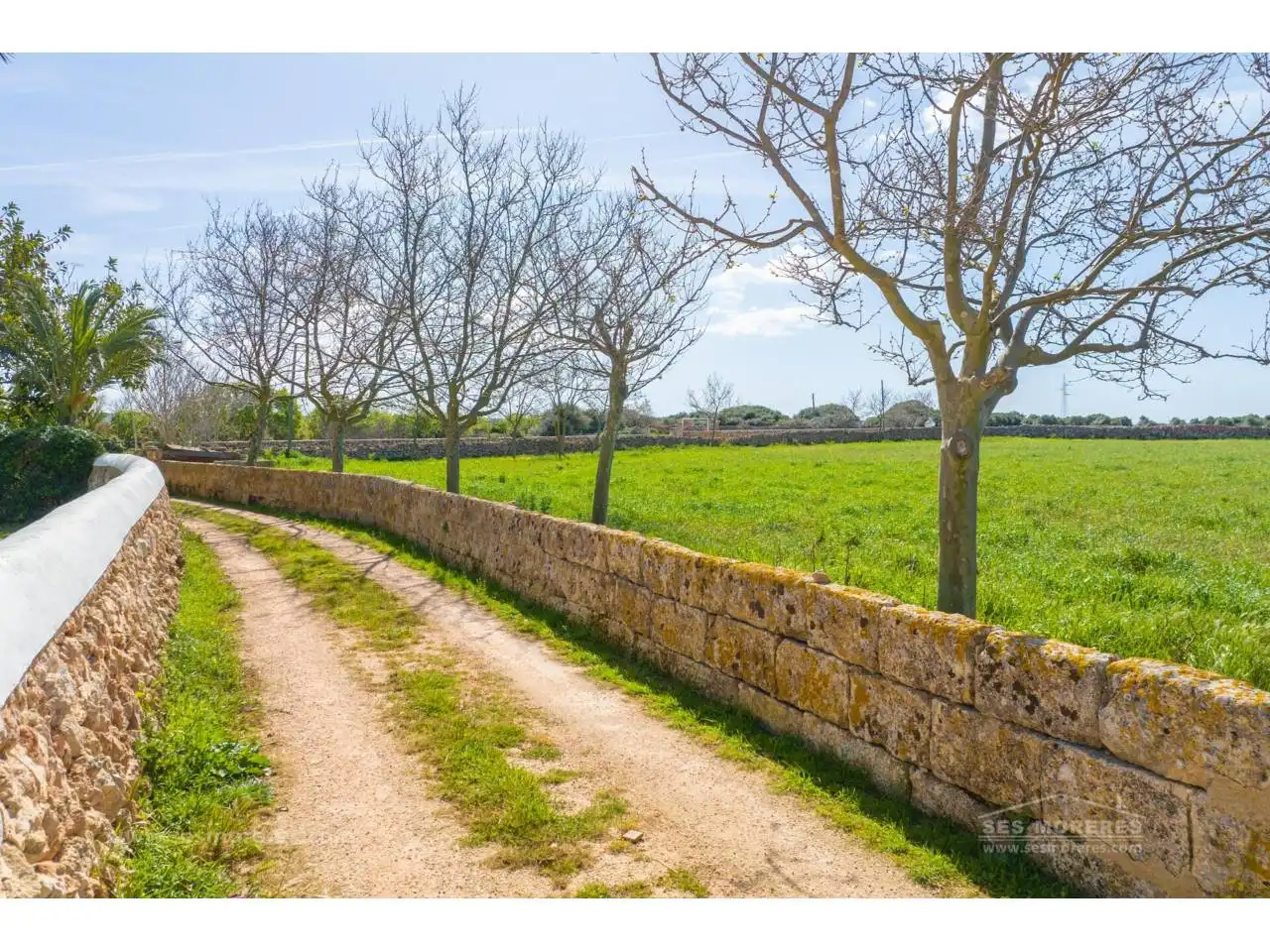 Rural land for sale in Ciutadella, imagen 26