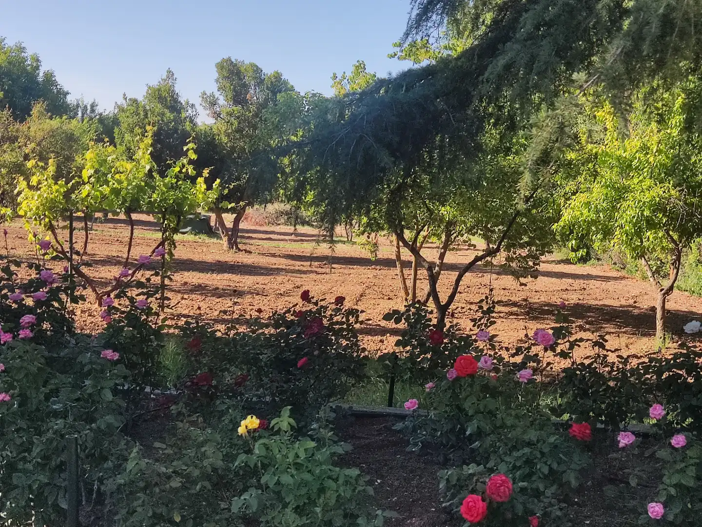 Casa o xalet en venda en Ciudad Real amb Aire condicionat, Calefacció i Jardí privat