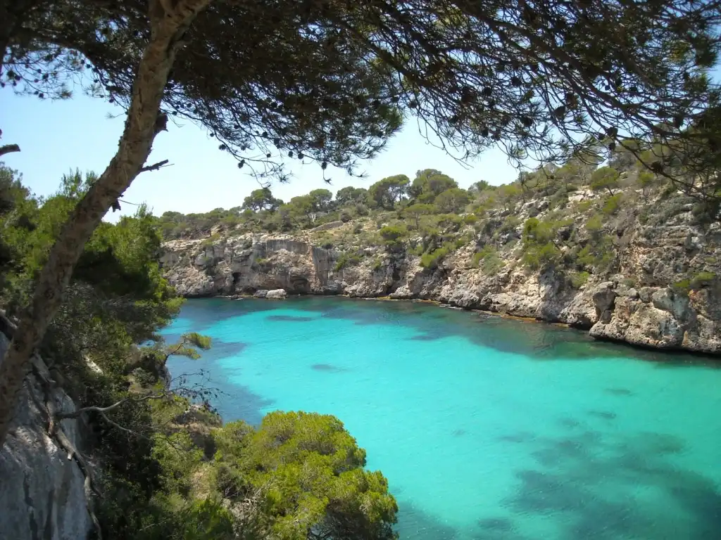 Xalet amb piscina en venda a Cala Pi - Vallgornera, imagen 26