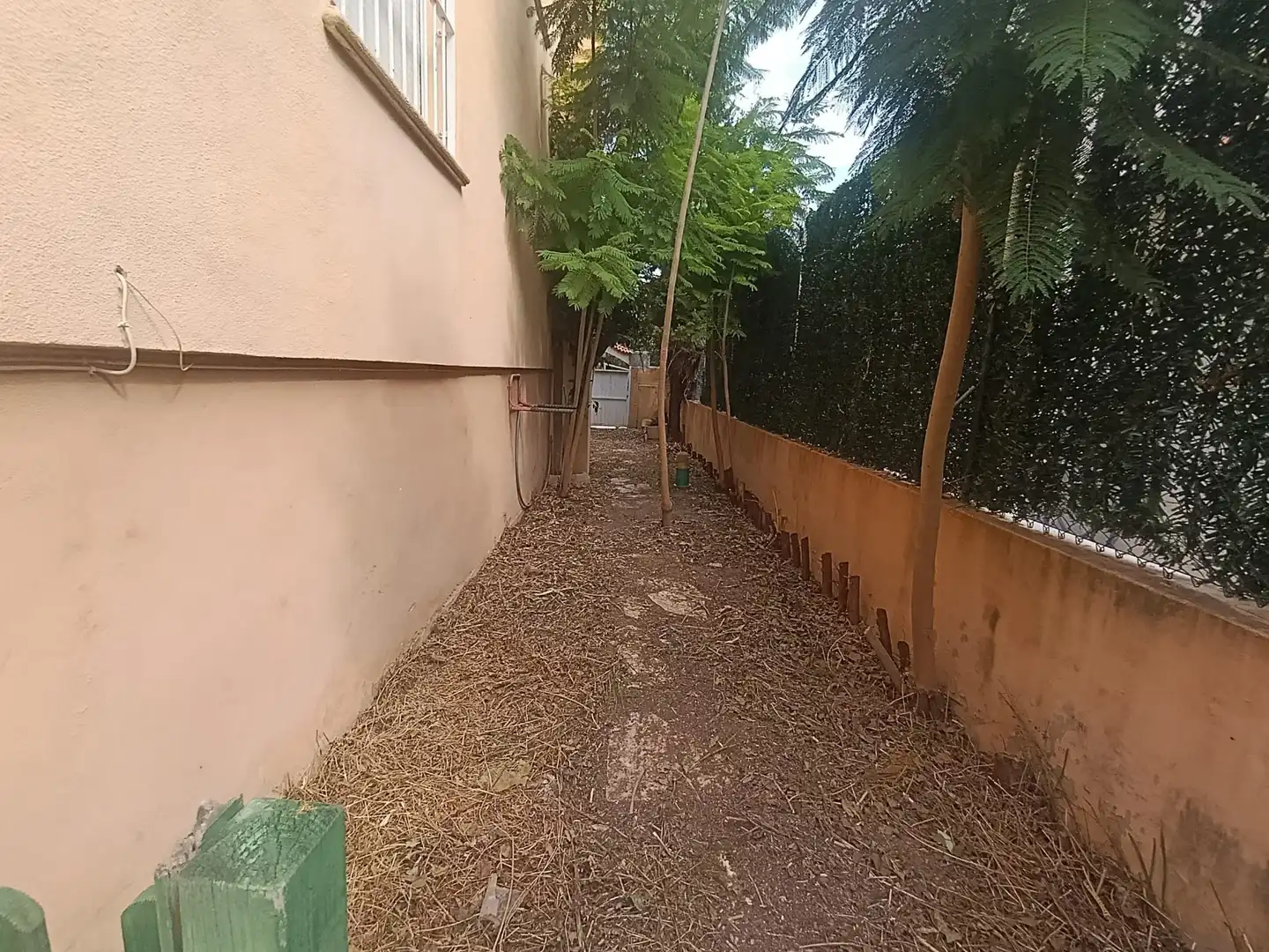Houses for sale in Gandia, Valencia