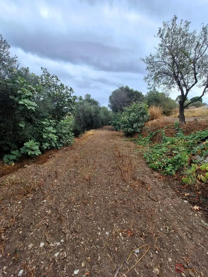 Casa rústica en venda a Lanjarón, imagen 20