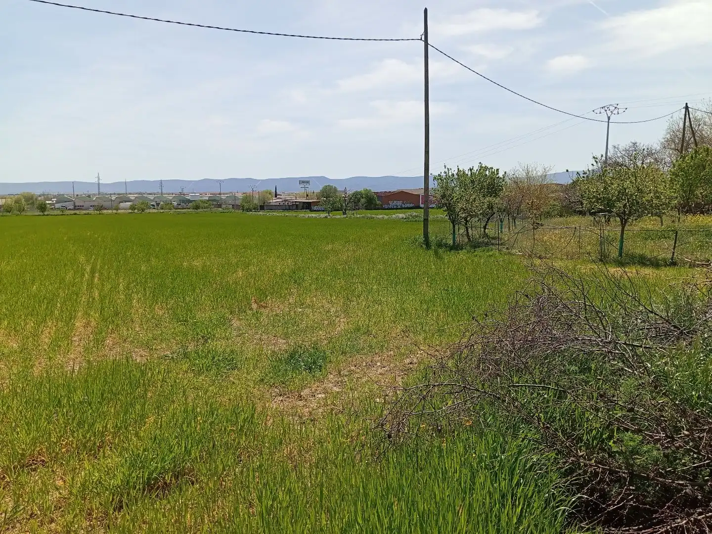 Terreno rustico in vendita a Cuartillejo Polig.1 Parcela 27, imagen 5
