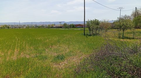 Terreno regadio 2ª línea Ctra. N-401a, immagine 5