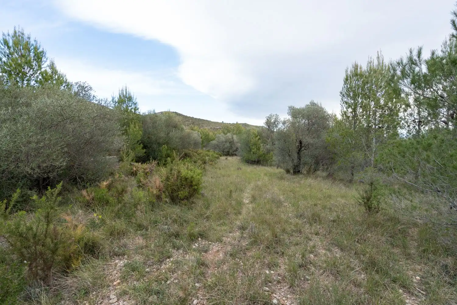 Grundstücke zum Verkauf in Canet lo Roig