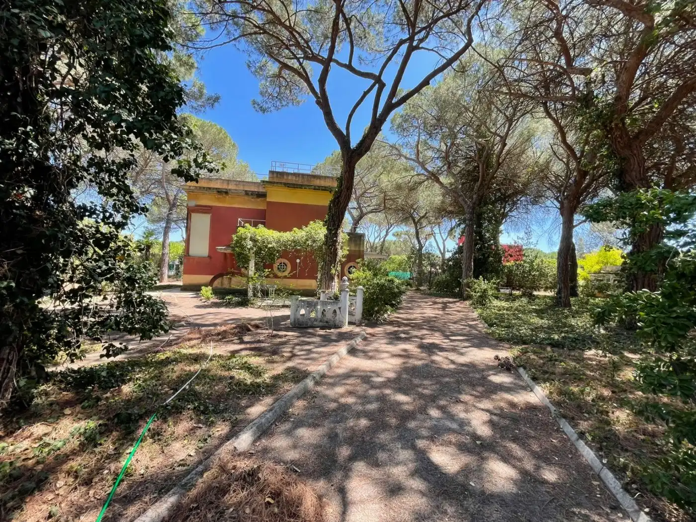 Jardí de Casa o xalet en venda en Valladolid