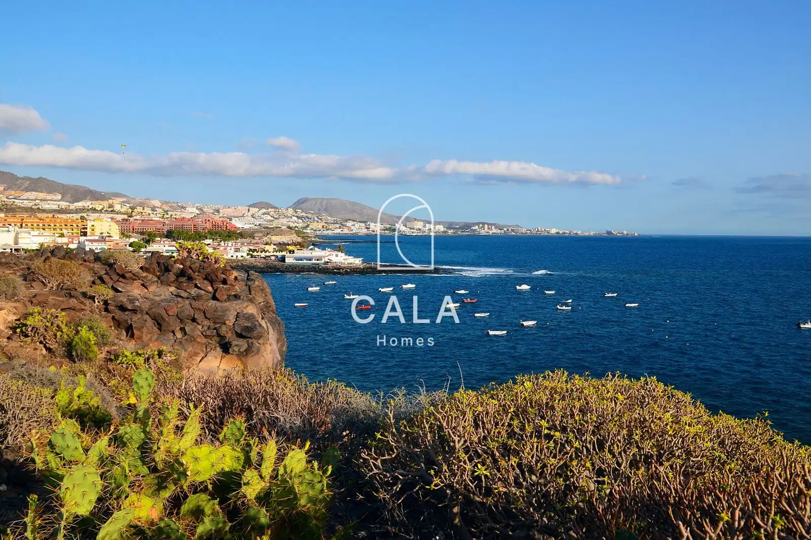 Vista exterior de Casa o chalet en venta en Adeje con Terraza, Trastero y Horno