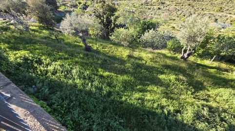 Foto 4 de Casa o chalet en venta en Miralvalle - Av. Virgen del Puerto - La Data, Plasencia