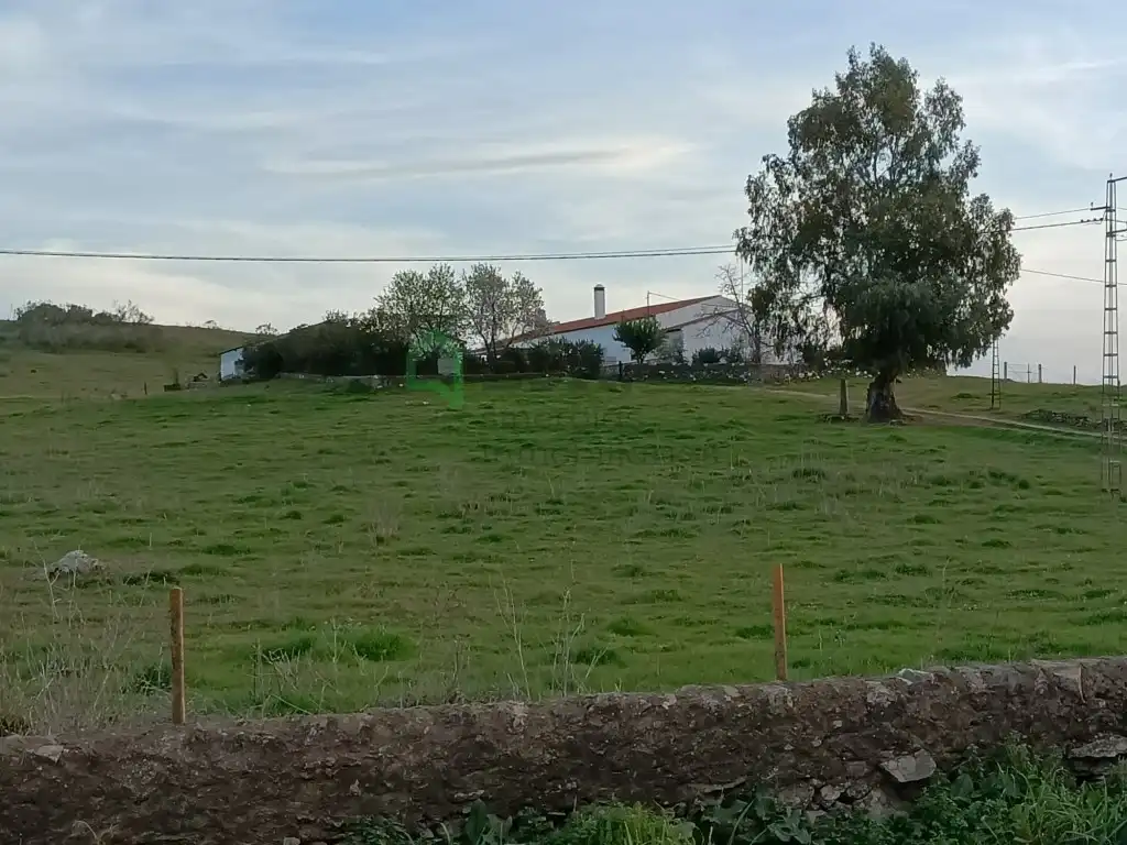 Casa o xalet en venda en Olivenza amb Forn i Rentadora