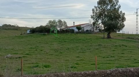 Foto 2 de Casa o chalet en venta en Olivenza, Badajoz