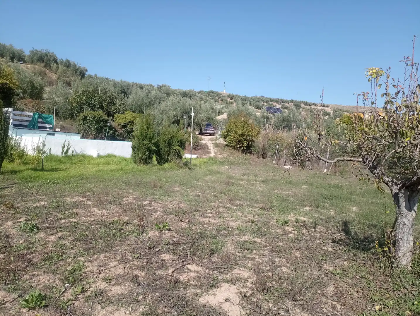 Finca rústica en venda en Alcaudete