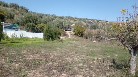 Foto 2 von Country house zum Verkauf in N/a, -1, Alcaudete, Jaén