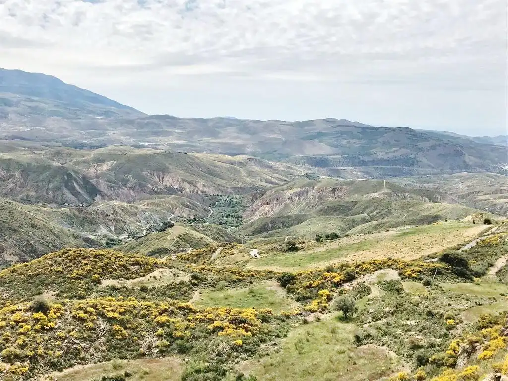 Terreni e lotti in vendita a Polígono Polígono 21 Parcela 10 EL CERRON UGIJAR (GRANADA, imagen 5