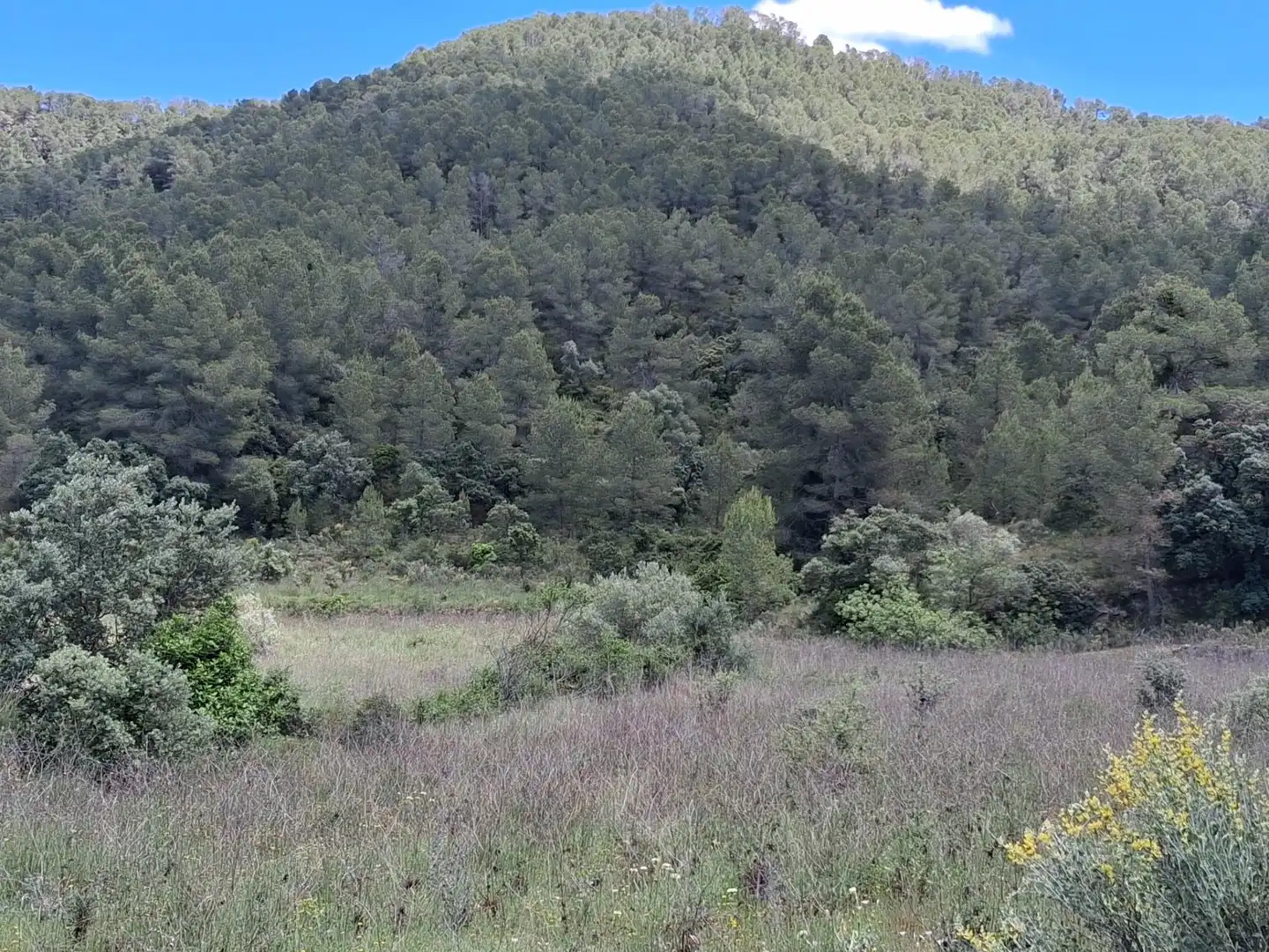 Terreno rústico en venta en Polígono19 Paraje 251 HONS 5