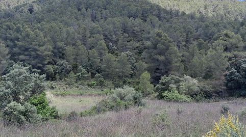Espectacular finca de secano en las afueras de Rasquera