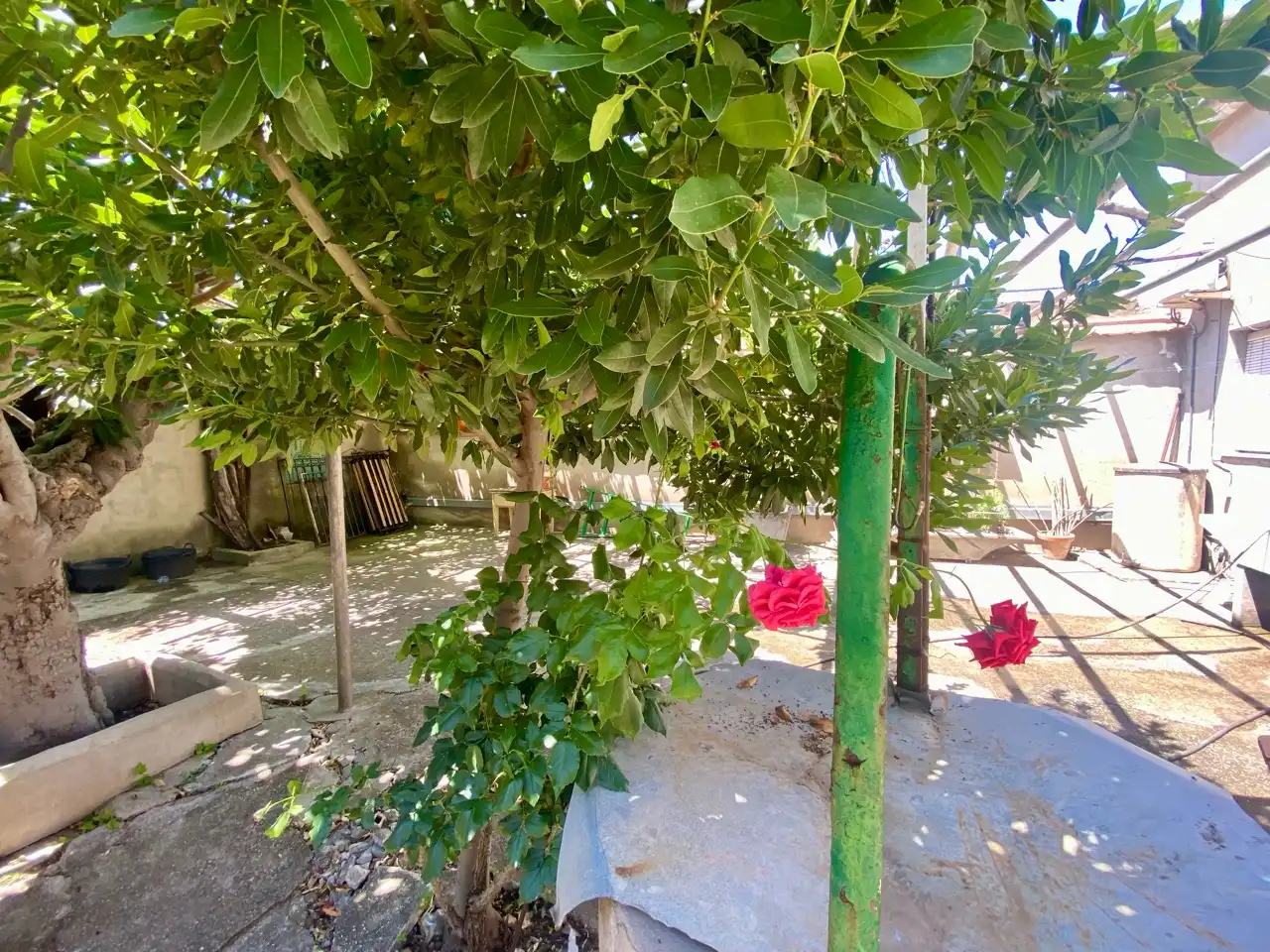 Habitatge amb jardí en venda a Calle Paradores, imagen 33