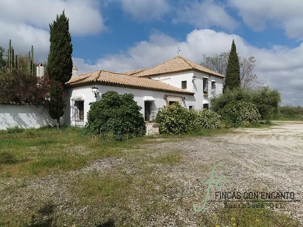 Vista exterior de Finca rústica en venda en Marchena amb Aire condicionat, Terrassa i Piscina
