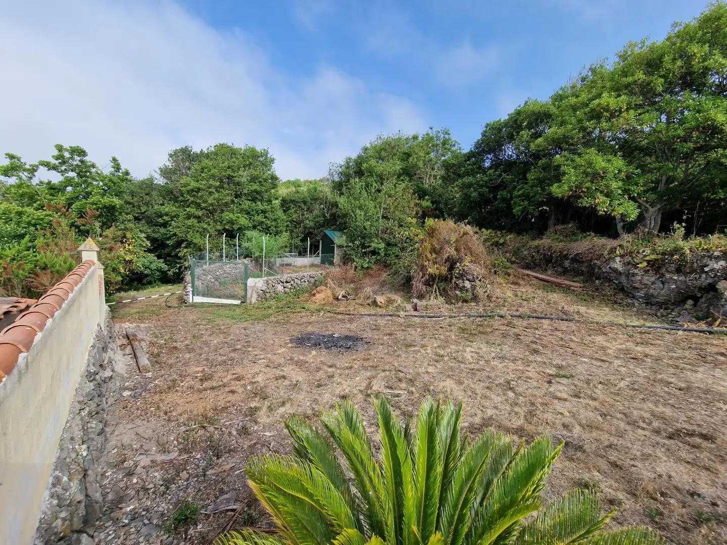 Jardín de Finca rústica en venta en Icod de los Vinos con Terraza, Trastero y Amueblado