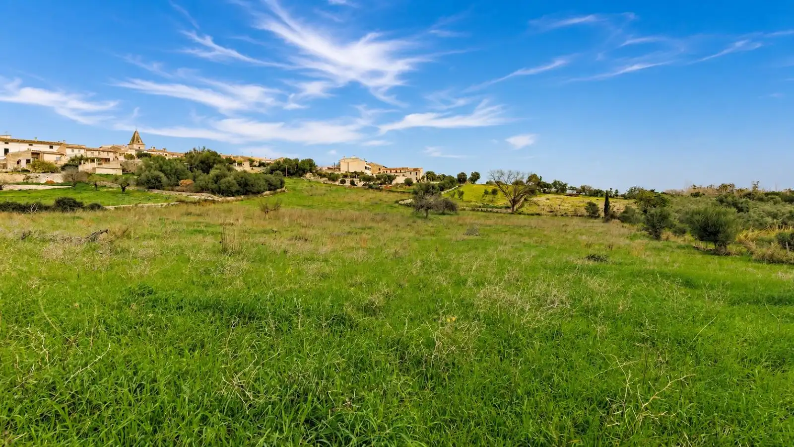 Residential for sale in Selva