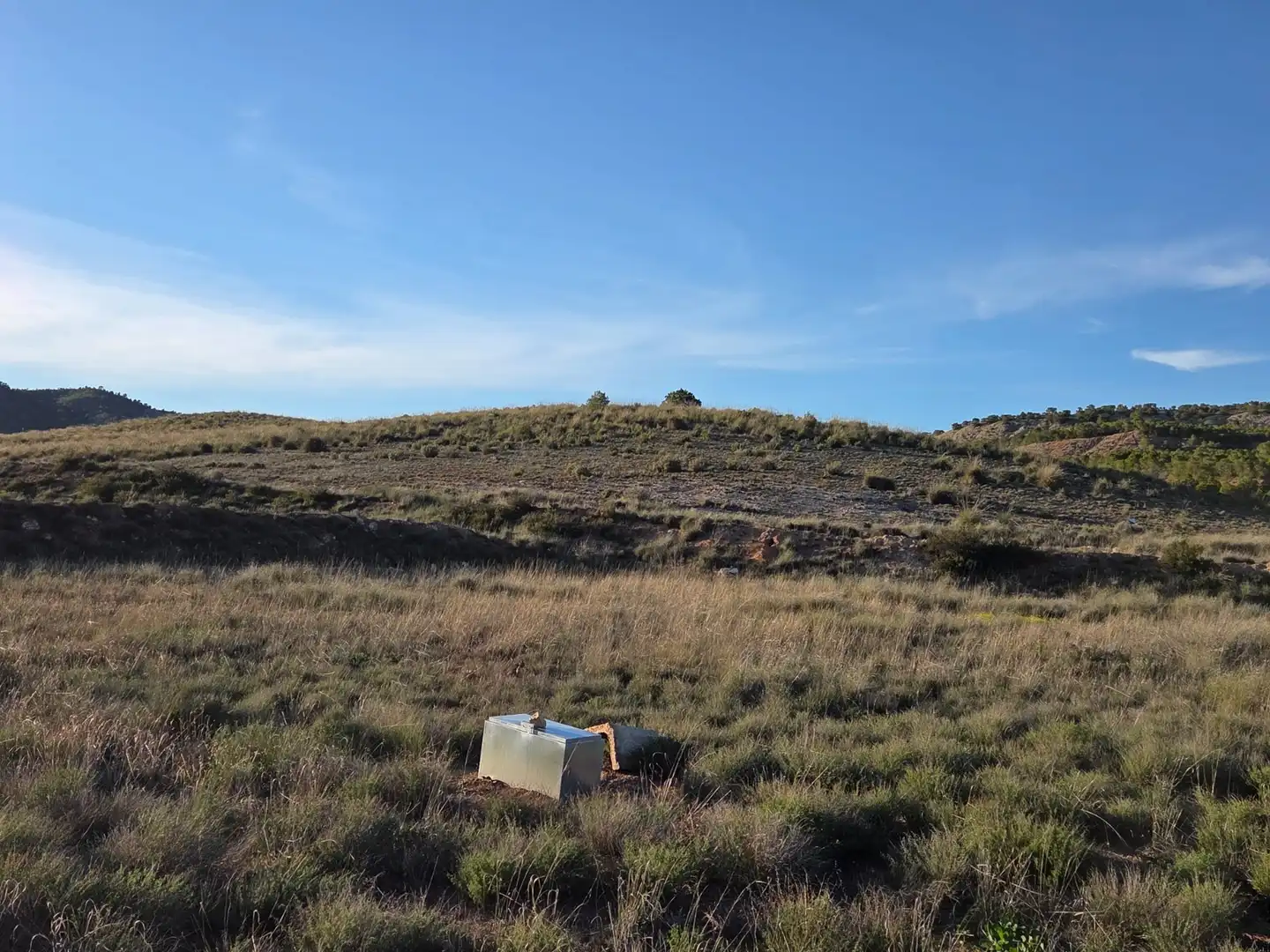 Residential land for sale in Yecla, imagen 4