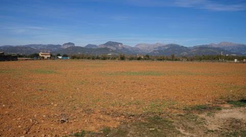 Foto 5 de Finca rústica en venta en Binissalem, Illes Balears
