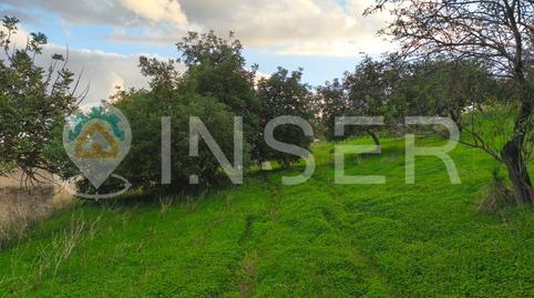 Foto 5 de Casa o chalet en venta en Poligono 9 Parcela 78, Son Amonda - Reis Catòlics, Illes Balears