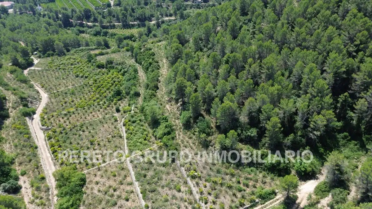 Terreno residencial en venta en Oliva pueblo, imagen 3