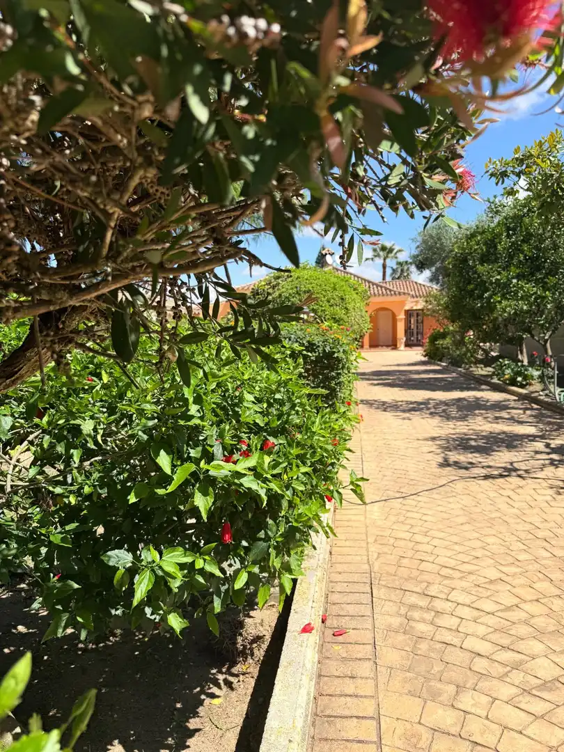 Jardí de Casa o xalet en venda en Chiclana de la Frontera