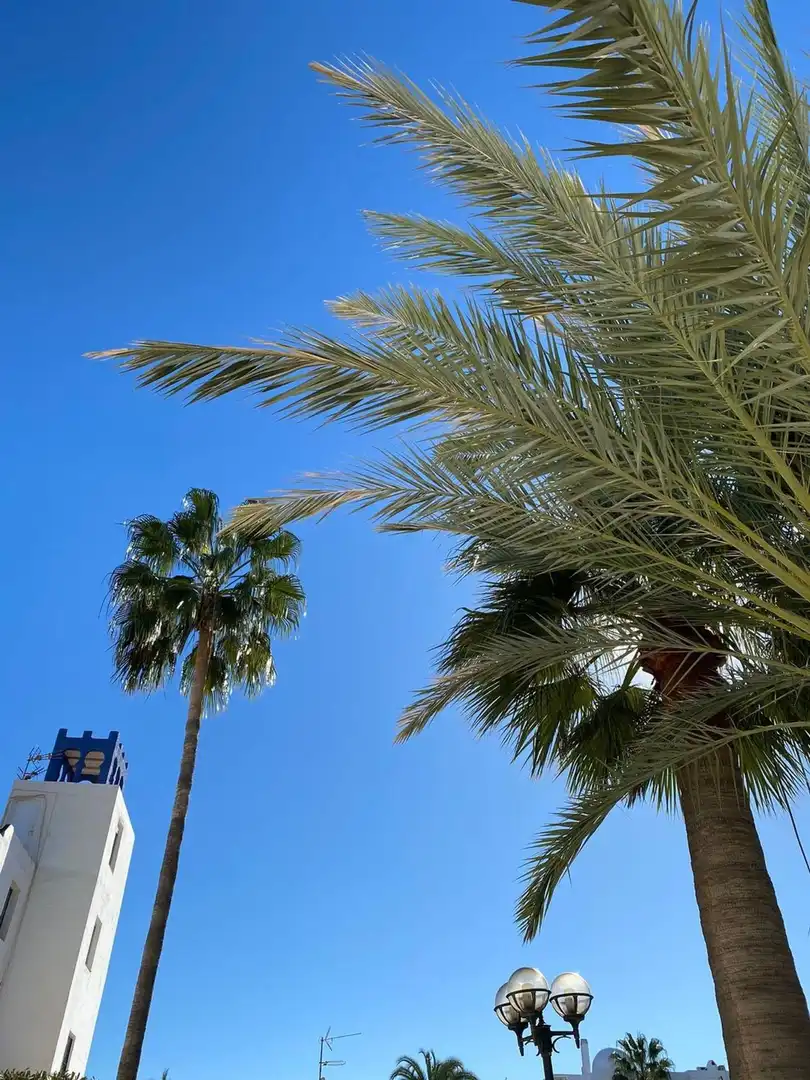 Vista exterior de Ático en venta en Mojácar con Terraza, Piscina y Amueblado