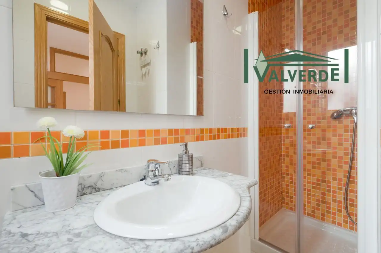 Bany de Apartament de lloguer en Granada amb Aire condicionat, Calefacció i Moblat