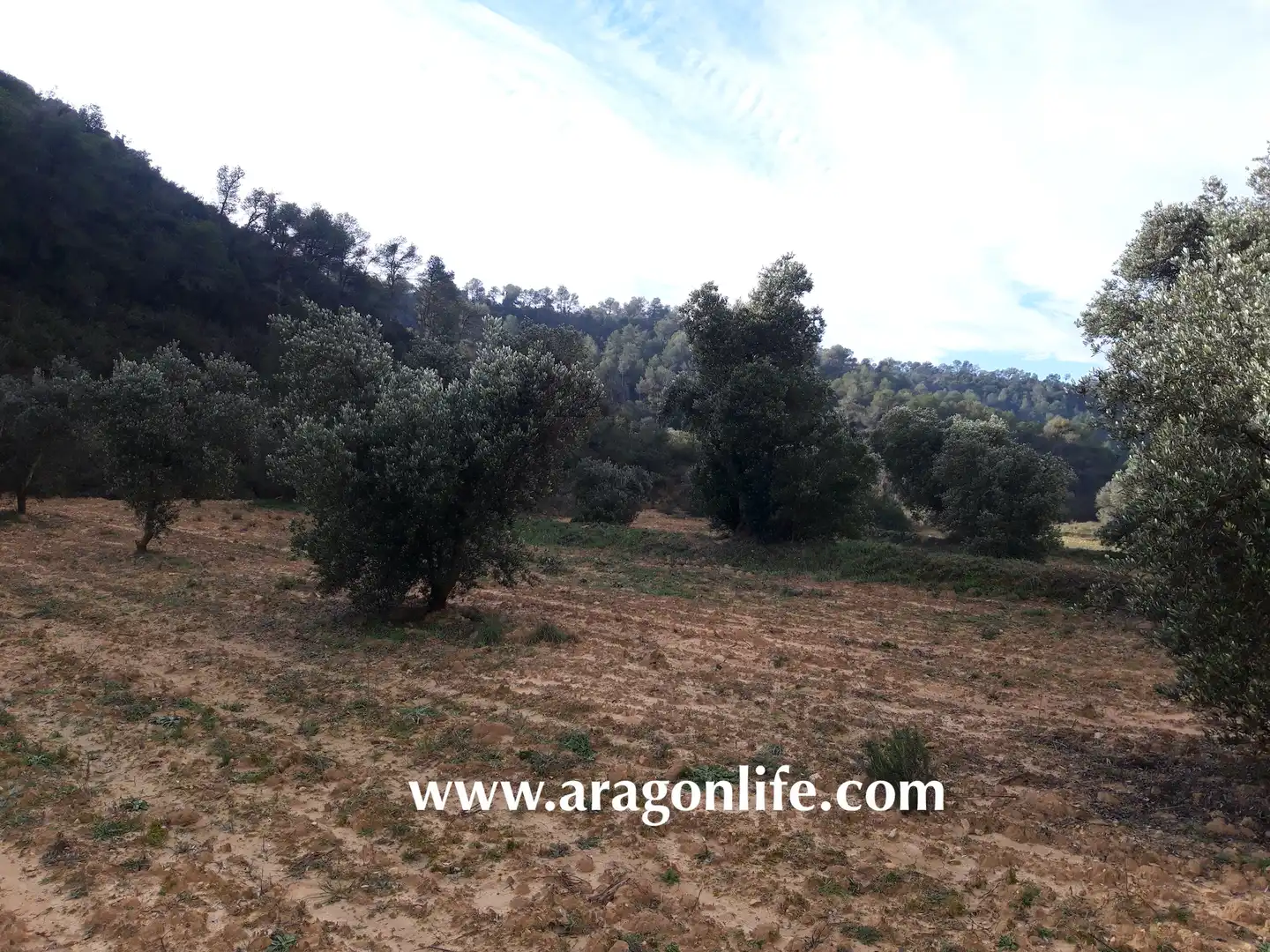 Finca rústica en venta en Batea