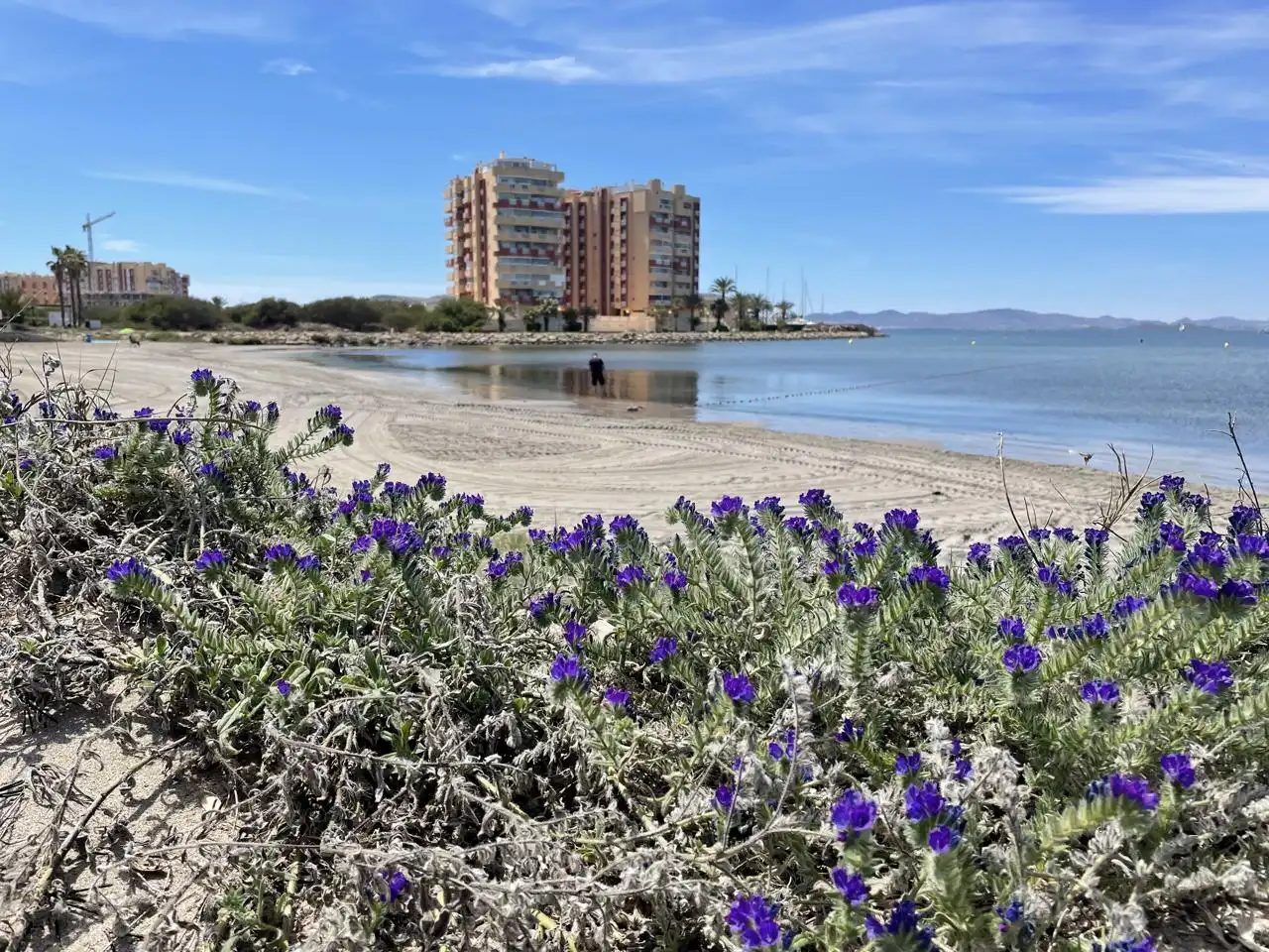 Apartment with terrace for sale in F, imagen 2