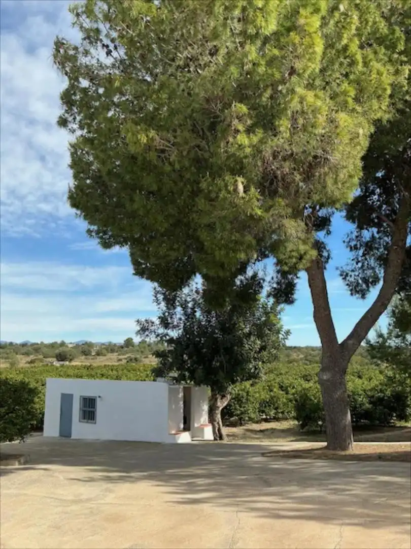 Vista exterior de Casa o chalet en venta en Manises con Terraza y Trastero