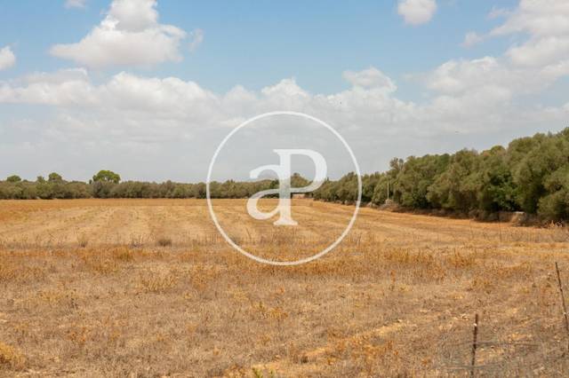 Terreno residencial en Venta en Son Lladó Polígon 19 polígonoo 19 parcela 721 en Zona Rústica - Interior