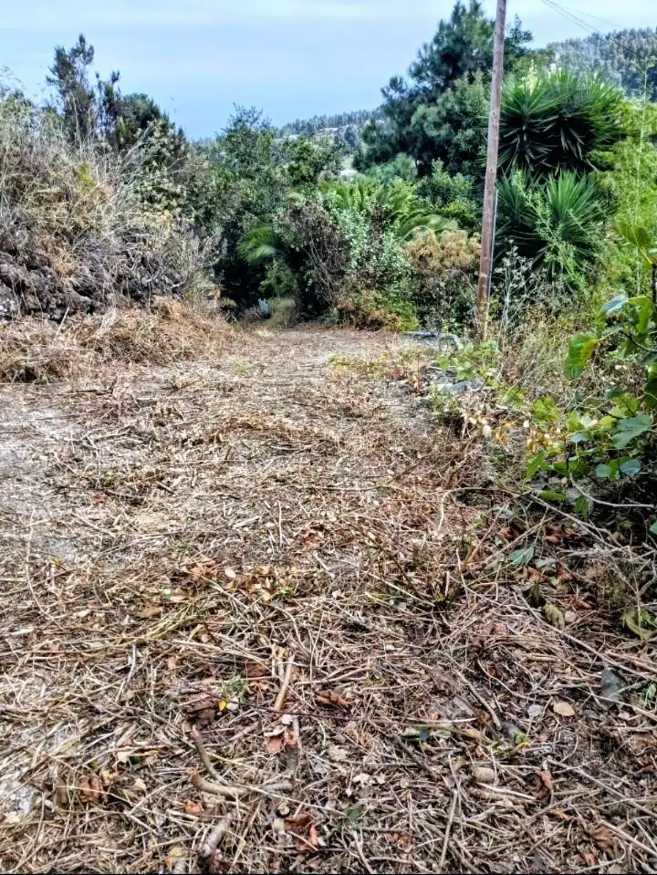 Rural land for sale in La Vega - El Amparo - Cueva del Viento, imagen 11